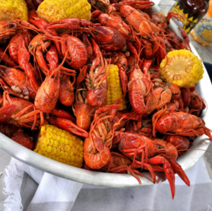 Bayou Classic 18